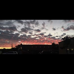 Meet your Posher, Erik